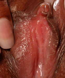 Click to open