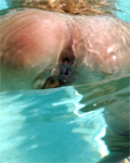 Click to open