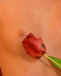 Click to open