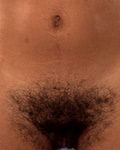 Click to open